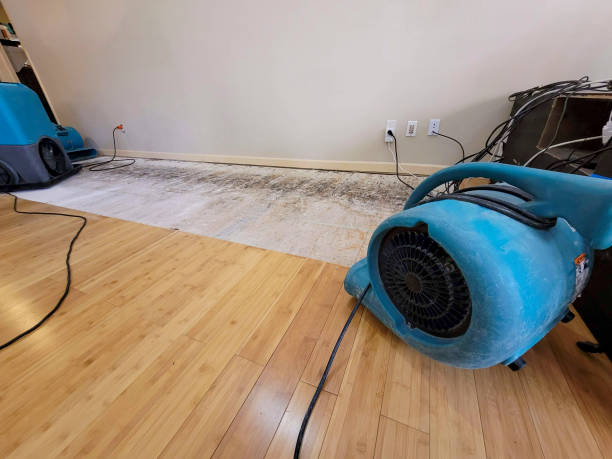 Professional Burst Pipe Water Damage technician working in Glenwood City, WI